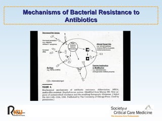 Mechanisms of Bacterial Resistance to Antibiotics 