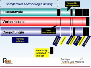 Comparative Microbiologic Activity Candida albicans C. glabrata Fluconazole Resistant C. albicans Cryptococci Aspergillus spp. Fusarium spp. Zygomycetes Susceptible,  dose-dependent Caspofungin Voriconazole Some  cross-resistance No activity indicated in black C. krusei 