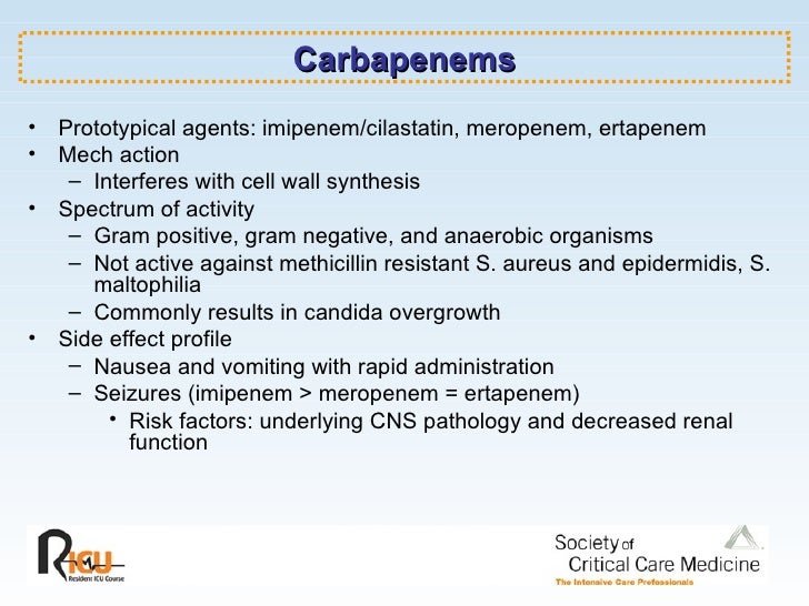 Meropenem Mechanism Of Action , Beta-Lactam Antibiotics – LFMP