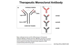 -ximab
-zumab
-umab
Arth Res &Ther 2009;11:225
Therapeutic Monoclonal Antibody
 