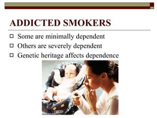 ADDICTED SMOKERS Some are minimally dependent Others are severely dependent Genetic heritage affects dependence 