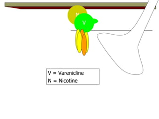 N V V = Varenicline N = Nicotine 