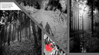 Monochrome setting in
forest/woodlands area.
Using Colour isolation to
highlight key props
 