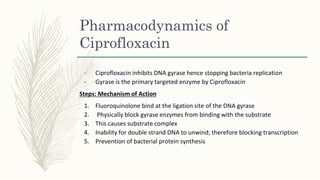 Pharmacodynamics of
Ciprofloxacin
- Ciprofloxacin inhibits DNA gyrase hence stopping bacteria replication
- Gyrase is the primary targeted enzyme by Ciprofloxacin
Steps: Mechanism of Action
1. Fluoroquinolone bind at the ligation site of the DNA gyrase
2. Physically block gyrase enzymes from binding with the substrate
3. This causes substrate complex
4. Inability for double strand DNA to unwind; therefore blocking transcription
5. Prevention of bacterial protein synthesis
 