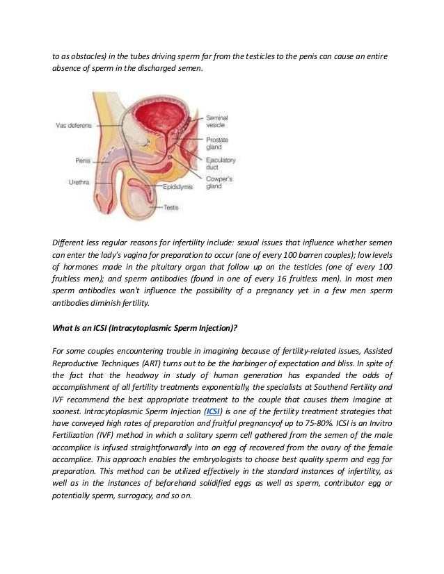 Male infertility options sperm donor — img 6