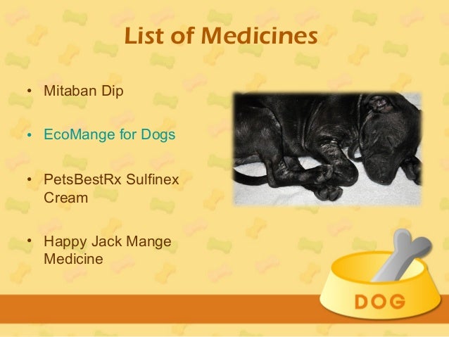 Treatment for mange in dogs