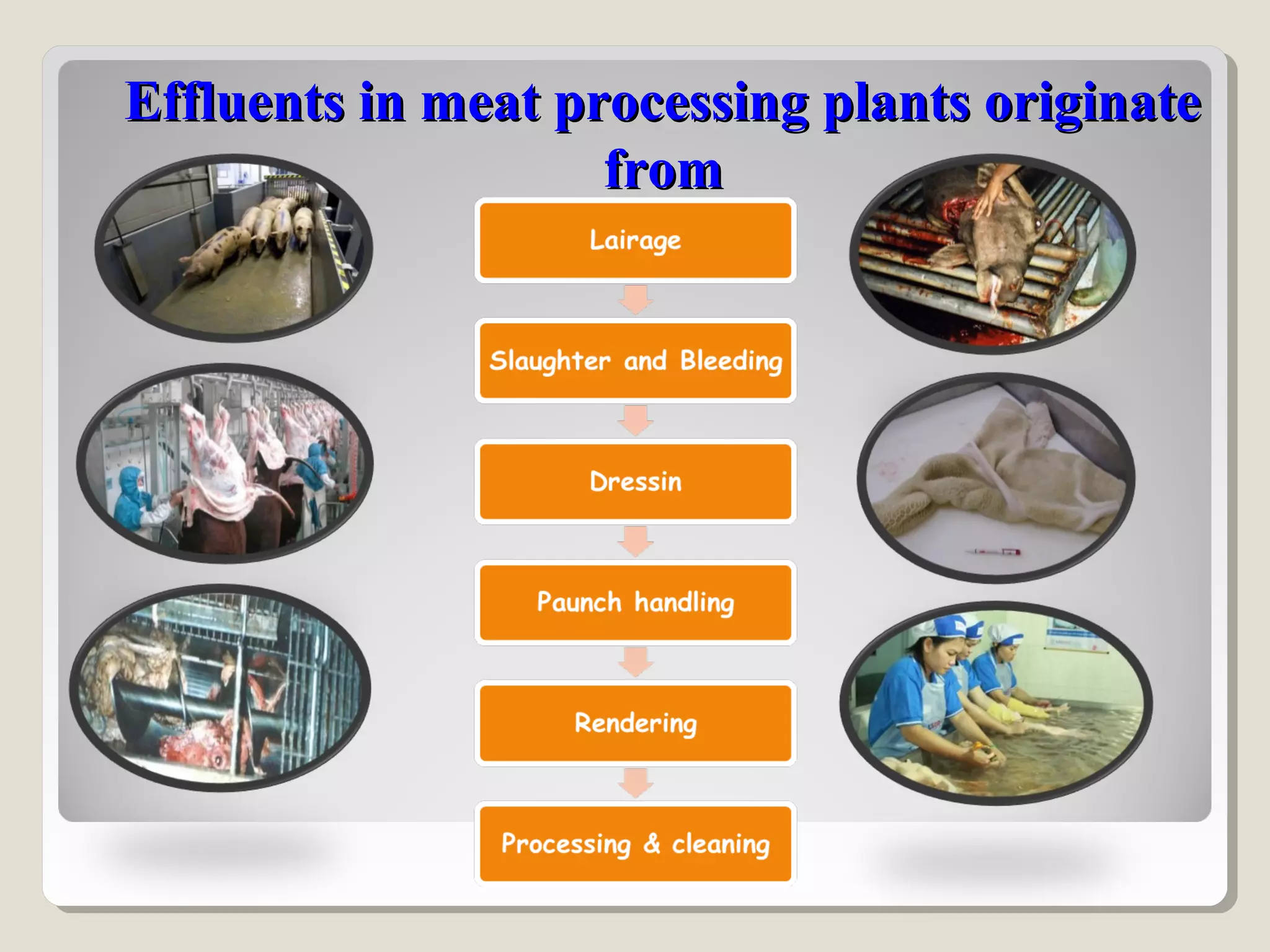 Effluents in meat processing plants originateEffluents in meat processing plants originate
fromfrom
 