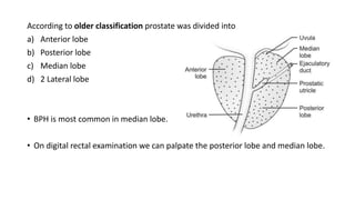 According to older classification prostate was divided into
a) Anterior lobe
b) Posterior lobe
c) Median lobe
d) 2 Lateral...
