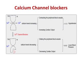 Calcium Channel blockers 
 