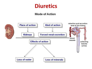 Diuretics 
 
