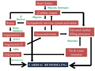 Drugs used for the Treatment of Heart failure | PPT