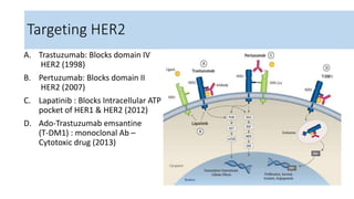 Treatment of her2 positive breast cancer | PPTX