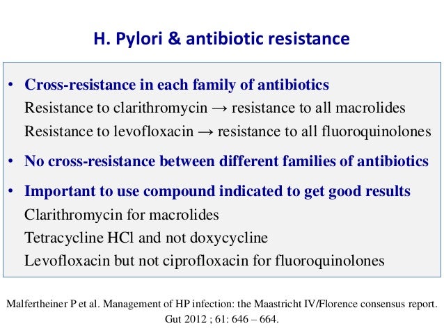 Treatment Of Helicobacter Pylori Infection Maastricht Iv Florence