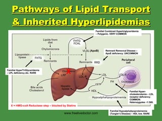 Treatment of hyperlipidaemia | PPT