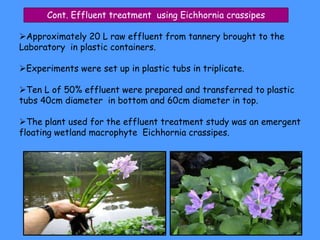 Treatment of industrial effluent | PPTX