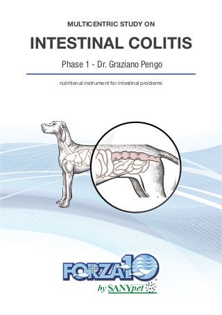 MULTICENTRIC STUDY ON
INTESTINAL COLITIS
Phase 1 - Dr. Graziano Pengo
nutritional instrument for intestinal problems
 