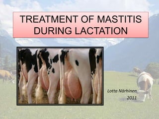 TREATMENT OF MASTITIS
  DURING LACTATION




               Lotta Närhinen
                        2011
 