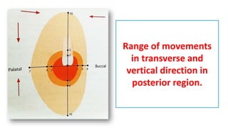 Range of movements
in transverse and
vertical direction in
posterior region.
 