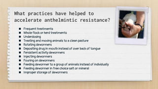 What practices have helped to
accelerate anthelmintic resistance?
 Frequent treatments
 Whole flock or herd treatments
 Underdosing
 Treating and moving animals to a clean pasture
 Rotating dewormers
 Depositing drug in mouth instead of over back of tongue
 Persistent activity dewormers
 Injecting dewormers
 Pouring on dewormers
 Feeding dewormer to a group of animals instead of individually
 Feeding dewormer in free choice salt or mineral
 Improper storage of dewormers
 