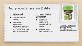 Two products are available.
[1 ] BioWorma®
 Contains 34.6%
fungus
 Due to EPA
restrictions,
distribution is limited
to veterinarians, feed
mills, and premixers.
[2] Livamol® with
BioWorma®
 Nutritional
supplement
containing 2.2%
fungus
 Available over-
the-counter (OTC)
Livamol® + BioWorma®
40 to 60 ¢ per day
For 100-lb. animal
(Premier 1 Supplies, Iowa)
 