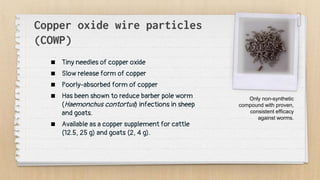 Copper oxide wire particles
(COWP)
 Tiny needles of copper oxide
 Slow release form of copper
 Poorly-absorbed form of copper
 Has been shown to reduce barber pole worm
(Haemonchus contortus) infections in sheep
and goats.
 Available as a copper supplement for cattle
(12.5, 25 g) and goats (2, 4 g).
Only non-synthetic
compound with proven,
consistent efficacy
against worms.
 