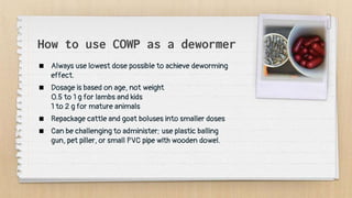 How to use COWP as a dewormer
 Always use lowest dose possible to achieve deworming
effect.
 Dosage is based on age, not weight
0.5 to 1 g for lambs and kids
1 to 2 g for mature animals
 Repackage cattle and goat boluses into smaller doses
 Can be challenging to administer; use plastic balling
gun, pet piller, or small PVC pipe with wooden dowel.
 