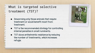What is targeted selective
treatment (TST)?
 Deworming only those animals that require
treatment or would benefit most from
treatment.
 TST is the recommended strategy for controlling
internal parasites in small ruminants.
 TST slows anthelmintic resistance by reducing
the number of treatments, which increases
refugia.
 
