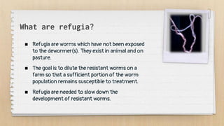 What are refugia?
 Refugia are worms which have not been exposed
to the dewormer(s). They exist in animal and on
pasture.
 The goal is to dilute the resistant worms on a
farm so that a sufficient portion of the worm
population remains susceptible to treatment.
 Refugia are needed to slow down the
development of resistant worms.
 