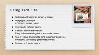 Using FAMACHA©
 Get required training: in-person or online
 Use proper technique
COVER-PUSH-PULL-POP
 Score under natural lighting
 Check at appropriate intervals
Every 1-3 weeks during peak transmission season
 Give effective dewormer(s) (and supportive therapy, as
necessary) to clinically-parasitized animals.
 Replace card, as necessary.
 