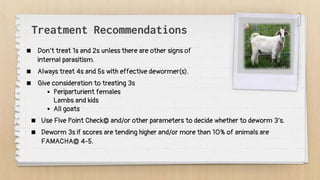 Treatment Recommendations
 Don’t treat 1s and 2s unless there are other signs of
internal parasitism.
 Always treat 4s and 5s with effective dewormer(s).
 Give consideration to treating 3s
 Periparturient females
Lambs and kids
 All goats
 Use Five Point Check© and/or other parameters to decide whether to deworm 3’s.
 Deworm 3s if scores are tending higher and/or more than 10% of animals are
FAMACHA© 4-5.
 
