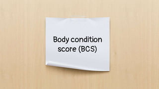 Body condition
score (BCS)
 