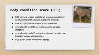 Body condition score (BCS)
 BCS can be a reliable indicator of internal parasitism in
adult animals (not so much in growing animals).
 Low BCS (≤2) is indicative of a nutrition issue.
 Animals with low BCS are more prone to parasitic
infection
 Animals with low BCS and on low plane of nutrition are
less able to cope with parasites.
 BCS is part of the Five Point Check©.
 