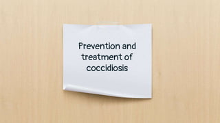 Prevention and
treatment of
coccidiosis
 