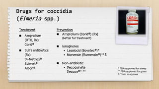 Drugs for coccidia
(Eimeria spp.)
Treatment
 Amprolium
(OTC, Rx)
Corid®
 Sulfa antibiotics
(Rx)
Di-Methox®
Sulmet®
Albon®
Prevention
 Amprolium (Corid®) [Rx]
(better for treatment)
 Ionophores
 Lasalocid (Bovatec®)*
 Monensin (Rumensin®)**
 Non-antibiotic
 Decoquinate
Deccox®* **
* FDA-approved for sheep
** FDA-approved for goats
 Toxic to equines
 