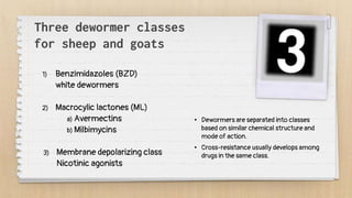 Three dewormer classes
for sheep and goats
1) Benzimidazoles (BZD)
white dewormers
2) Macrocylic lactones (ML)
a) Avermectins
b) Milbimycins
3) Membrane depolarizing class
Nicotinic agonists
• Dewormers are separated into classes
based on similar chemical structure and
mode of action.
• Cross-resistance usually develops among
drugs in the same class.
 