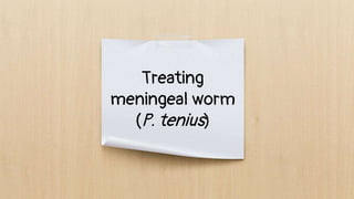 Treating
meningeal worm
(P. tenius)
 