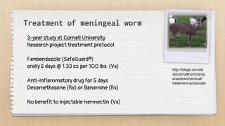 Treatment of meningeal worm
3-year study at Cornell University
Research project treatment protocol
Fenbendazole (SafeGuard®)
orally 5 days @ 1.33 cc per 100 lbs. (Vx)
Anti-inflammatory drug for 5 days
Dexamethasone (Rx) or Banamine (Rx)
No benefit to injectable ivermectin (Vx)
http://blogs.cornell.
edu/smallruminantp
arasites/chemical-
treatment-protocols/
 