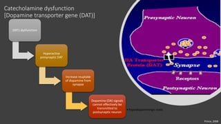 Dat Postsynaptic ADHD Treatments and Psychopharmacology | PPTX