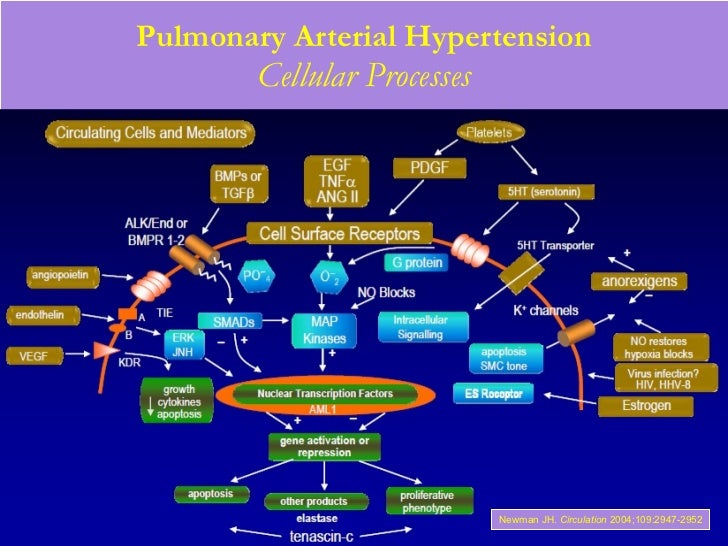 treatment of pulmonary hypertension with sildenafil treatment of pulmonary hypertension with sildenafil