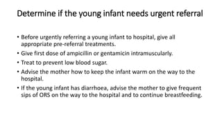 Determine if the young infant needs urgent referral
• Before urgently referring a young infant to hospital, give all
appropriate pre-referral treatments.
• Give first dose of ampicillin or gentamicin intramuscularly.
• Treat to prevent low blood sugar.
• Advise the mother how to keep the infant warm on the way to the
hospital.
• If the young infant has diarrhoea, advise the mother to give frequent
sips of ORS on the way to the hospital and to continue breastfeeding.
 