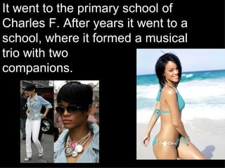 It went to the primary school of Charles F. After years it went to a school, where it formed a musical trio with two  companions. 