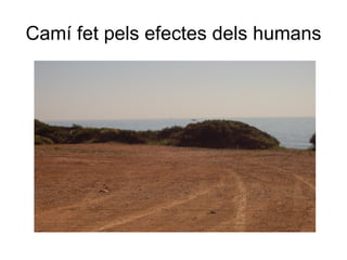 Camí fet pels efectes dels humans 