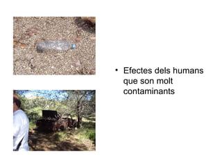 Efectes dels humans que son molt contaminants 
