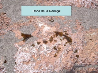 Roca de la Renegà 