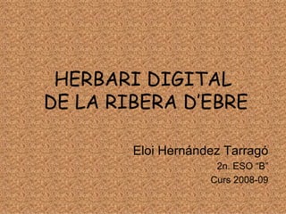HERBARI DIGITAL  DE LA RIBERA D’EBRE Eloi Hernández Tarragó 2n. ESO “B” Curs 2008-09 