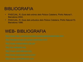 BIBLIOGRAFIA PASCUAL, R.: Guia dels arbres dels Països Catalans,  Pòrtic Natura/1, Barcelona 2004.  PASCUAL, R.: Guia dels arbustos dels Països Catalans,  Pòrtic Natura/10, Barcelona 1998. WEB- BIBLIOGRAFIA http://www.xtec.cat/col-anunciata-cerdanyola/plantes/index.htm http://herbarivirtual.uib.es/cat-med/index.html http://www.malesherbes.udl.cat/ http://es.wikipedia.org http://www.sierradebaza.org http://www.botanical-online.com/ http://www.wordreference.com 