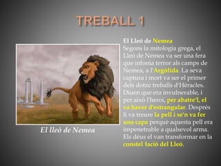 El lleó de Nemea
El Lleó de Nemea
Segons la mitologia grega, el
Lleó de Nemea va ser una fera
que infonia terror als camps de
Nemea, a l'Argòlida. La seva
captura i mort va ser el primer
dels dotze treballs d'Hèracles.
Diuen que era invulnerable, i
per això l'heroi, per abatre'l, el
va haver d'estrangular. Després
li va treure la pell i se'n va fer
una capa perquè aquesta pell era
impenetrable a qualsevol arma.
Els déus el van transformar en la
constel·lació del Lleó.
 
