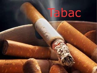 Tabac



google.com
 