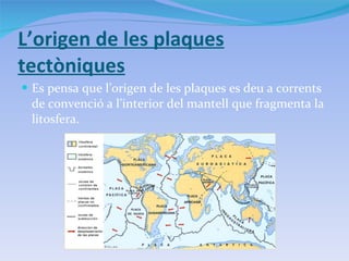 L’origen de les plaques tectòniques Es pensa que l’origen de les plaques es deu a corrents de convenció a l’interior del mantell que fragmenta la litosfera. 