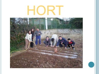 HORT